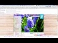 Mountain Goat Dinar Guru Caught Lying Plagiarizing
