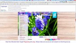 Mountain Goat Dinar Guru Caught Lying Plagiarizing