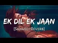 Ek Dil Ek Jaan -[Slowed+Reverb]- Lofi Song@lofimusic3302