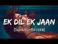 Download Lagu Ek Dil Ek Jaan -[Slowed+Reverb]- Lofi Song@lofimusic3302