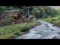 Lagu Dijamin Tidur Lelap Makanpun Enak‼️Rumah Villa Pinggir Sungai Airnya Bersih Udaranya Sejuk