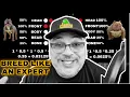 How To Set Up A Breeding American Bully XL