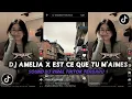 Download Lagu DJ AMELIA X EST CE QUE TUE MA'IMES SOUND DJ VIRAL TIKTOK TERBARU