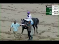 JAMAICA RACING American Aviator Easy As Can Be In Sat Jan 10 2026 9th