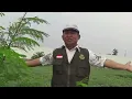 Download Lagu Kembang Geni Cip Esta Joss