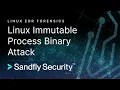 Linux Immutable Malware Process Binary Attack