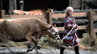 Download Elderly woman keeps giant crocodile as pet, feeds a cow a day MP3