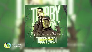 tribby wadi bhozza u0026 buddy sax bambi feat shandesh and ntate stunna official audio
