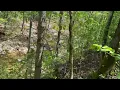 Arkansas hunting lease now available on HLRBO