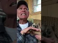 Download Lagu Hilariously Angry Chihuahua LOATHES Getting Pets!