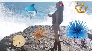 Transgender goes to the beach Vlog