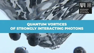 When The Light Particle Saw The Light 