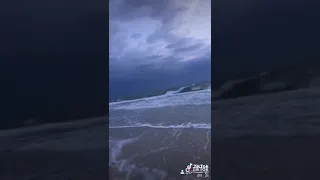 سماع صوت الحوت الازرق في مصر وليبيا والجزائر دندنها