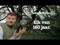 Download Lagu De eik die de tijd trotseerde – 160 jaar kracht en karakter in Kew Gardens