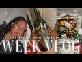 Weekly Vlog | Wine of the Week | Christmas Decor Shopping