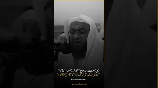 وقال اركبوا فيها بسم الله مجراها ومرساها القارئ احمد السعيد مندور 