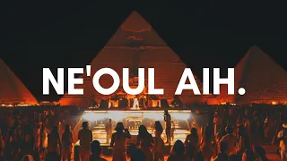                                                               دندنها