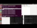 Mininet openflow tutorial