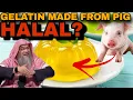 Is it Halal to Eat GELATIN Made from Pork Sheikh Assim Al Hakeem