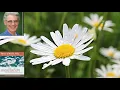 Download Lagu [PDE]  : Guided Healing Meditation by Dr. Brian L Weiss