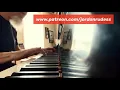 Download Lagu Stream Of Consciousness Solo