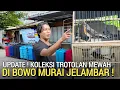 Lagu SUPER BONUS ! FREE ONGKIR SE-INDONESIA DAN GRATIS 5 EKOR MURAI TROTOL DI BOWO MURAI JELAMBAR 
