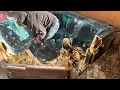 Junk Removal in Bowie MD