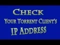 Check Your Torrent Client s IP Address