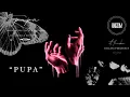 Download Lagu St. Finnikin - Pupa (Audio/Visualizer)