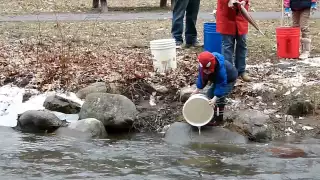 Spa Park Fish Stocking 2015