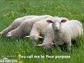 I will run to you by Darlene Zschech Hillsong (with Lyrics)
