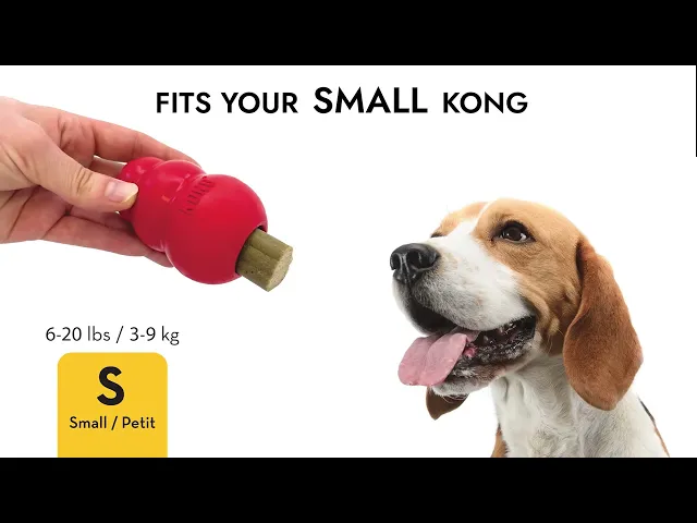 KONG Ziggies Enhanced Dog Treats