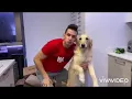 Download Lagu Moosecraft video with Mooseplays intro song