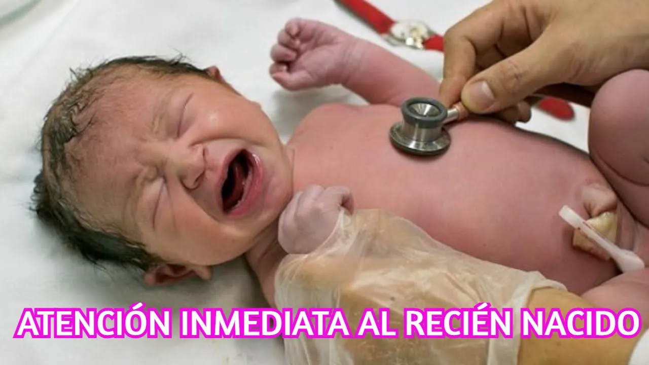 ATENCION INMEDIATA AL RECIEN NACIDO / Cofia Educativa
