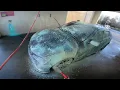 QuikWash