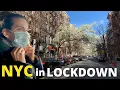 Download Lagu HOW HAS NEW YORK CHANGED DURING THE LOCKDOWN?