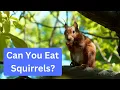 Can You Eat Squirrel from Your Backyard