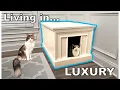Ridiculous and Over The Top LITTER BOX Enclosure