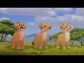 The Lion Guard Baboons - Tiifu and Zuri Take Kiara To The Meadows Scene