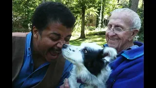 Download Chaser the Dog Shows Off Her Smarts to Neil deGrasse Tyson MP3