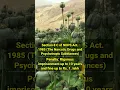 Download Lagu Opium cultivation and penalty