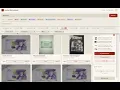 Auction Bid Assistant searching 8 auction sites at once