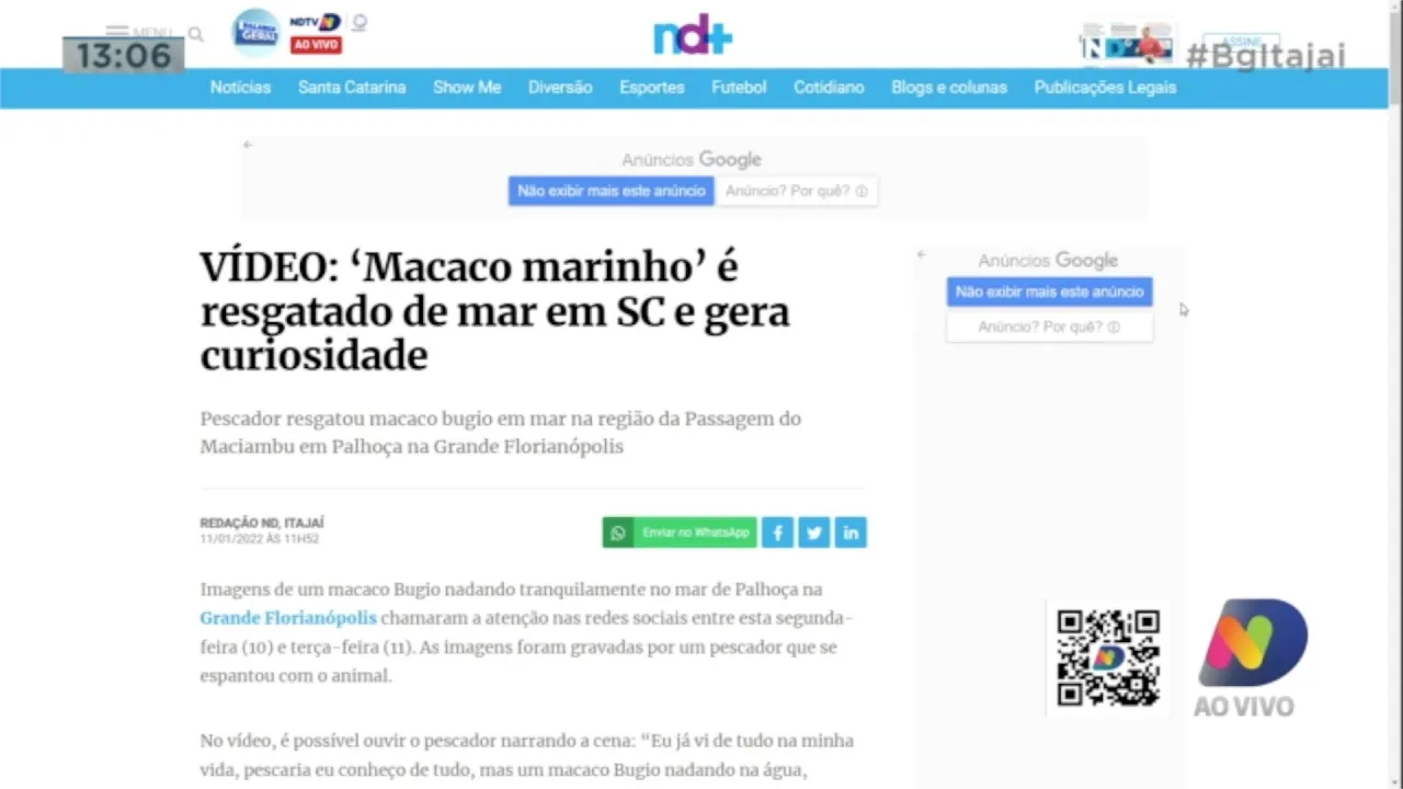 Cantor gospel teve violão aprendido em BC, e macaco foi resgatado em alto mar