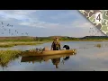 Solo Duck Hunt - Check Out My Secret Smartweed Honey Hole