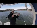 Lake Hickory December Striper