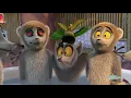 Download Lagu king julien.  plant food.