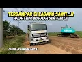 Download Lagu TERDAMPAR DI TENGAH KEBUN SAWIT