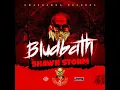 Download Lagu Shawn Storm Blud Bath (Official Audio)