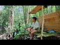Download Lagu Camping di Hutan Borneo||membuat rumah shalter bambu di atas sungai makan makanan khas suku dayak