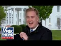 Bird crashes Peter Doocy s report LANDED ON MY HEAD